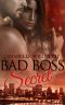 [Bad Boss 03] • Bad Boss Secret